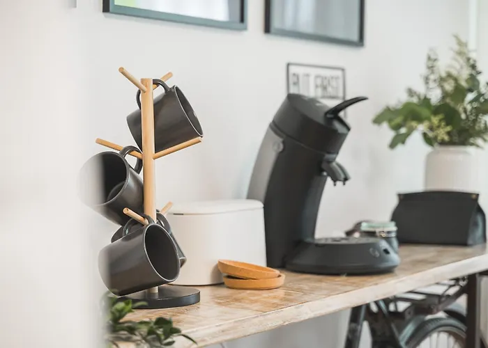 Black Forest Design Apartment