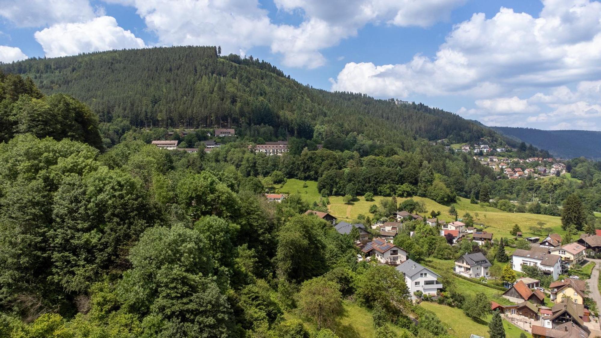 Black Forest Design Bad Wildbad