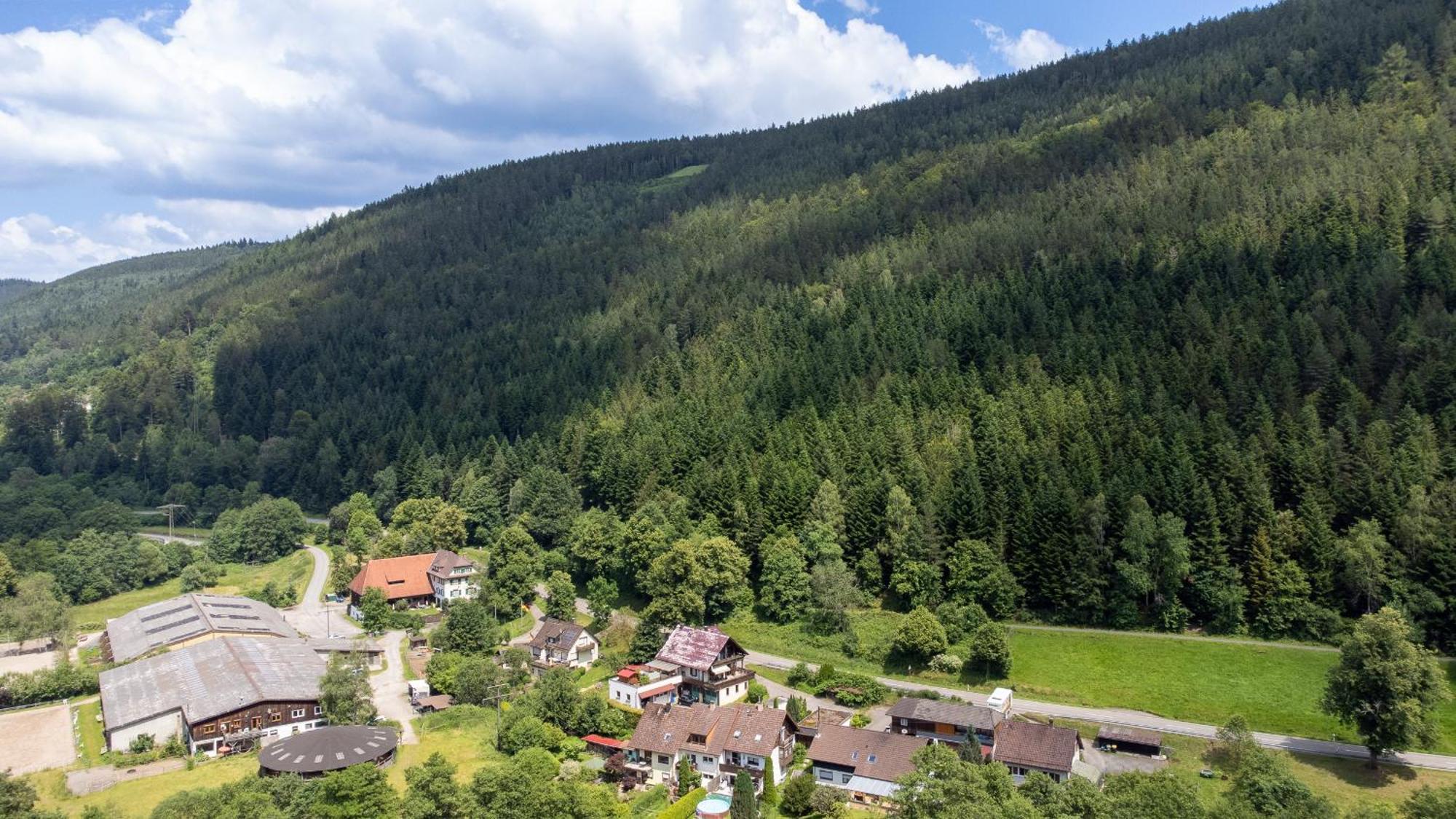 Apartment Black Forest Design Bad Wildbad