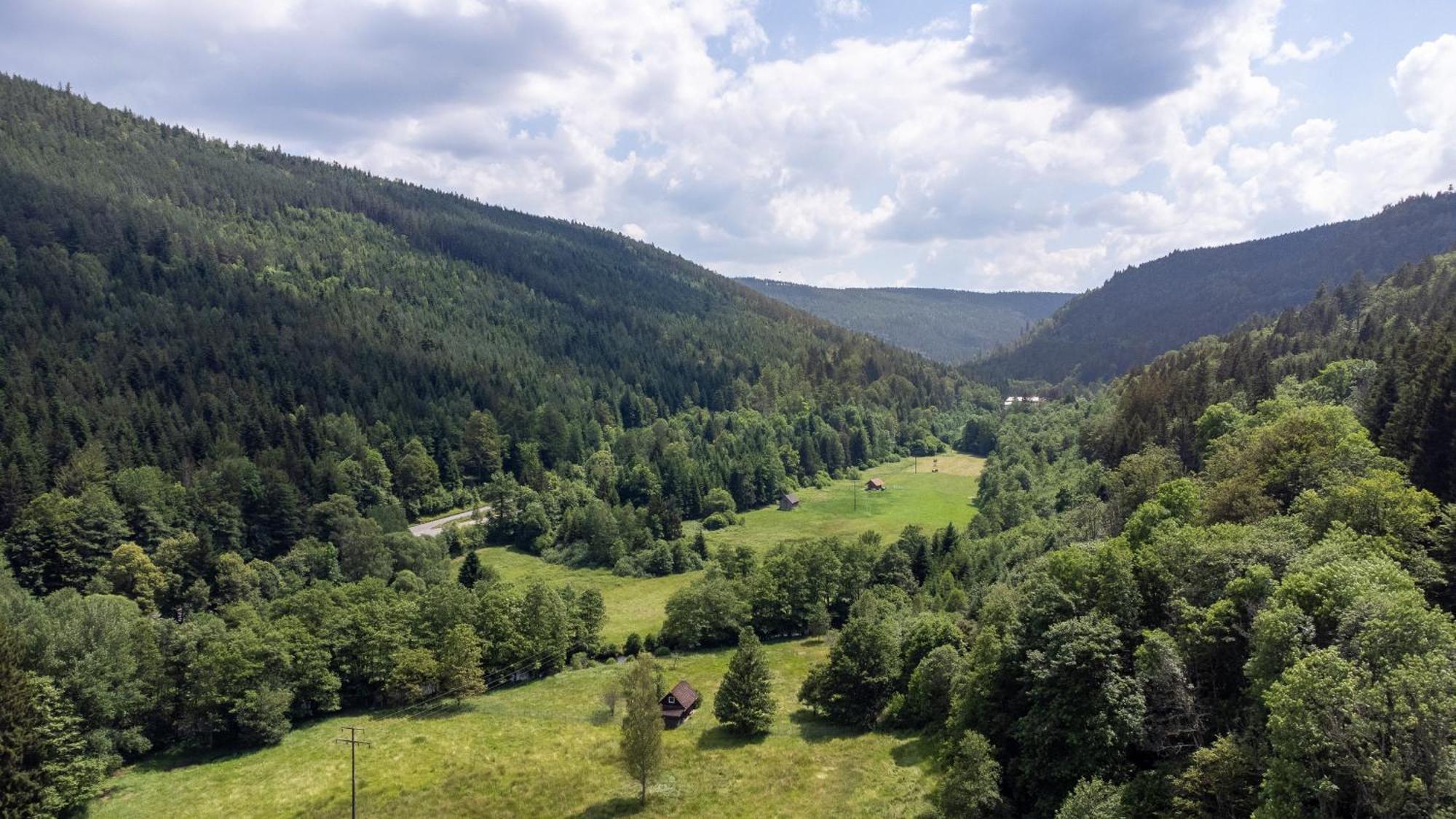Black Forest Design * Bad Wildbad